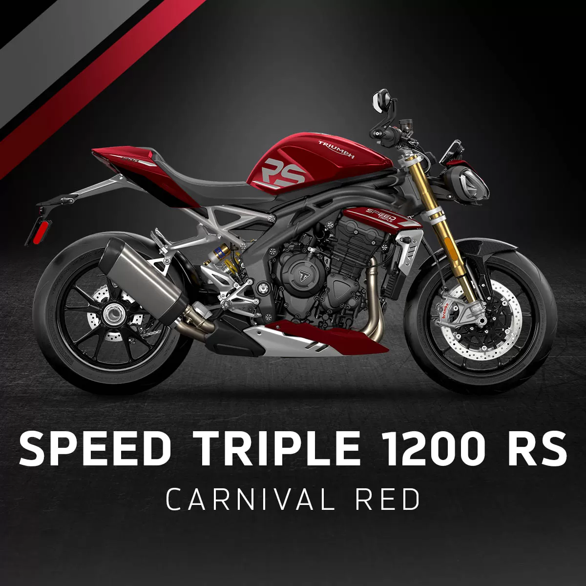 Brand new colours available on selected Triumph models for 2024