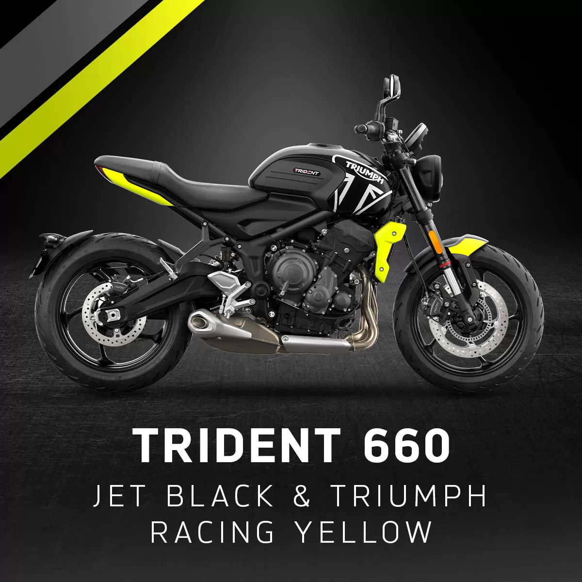 Brand new colours available on selected Triumph models for 2024