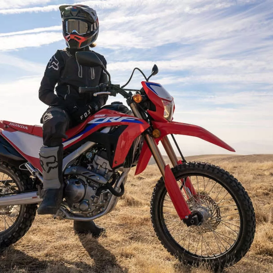 CRF 300 L