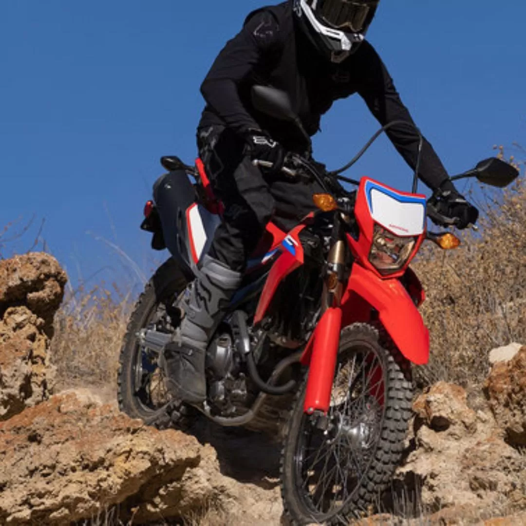 CRF 300 L