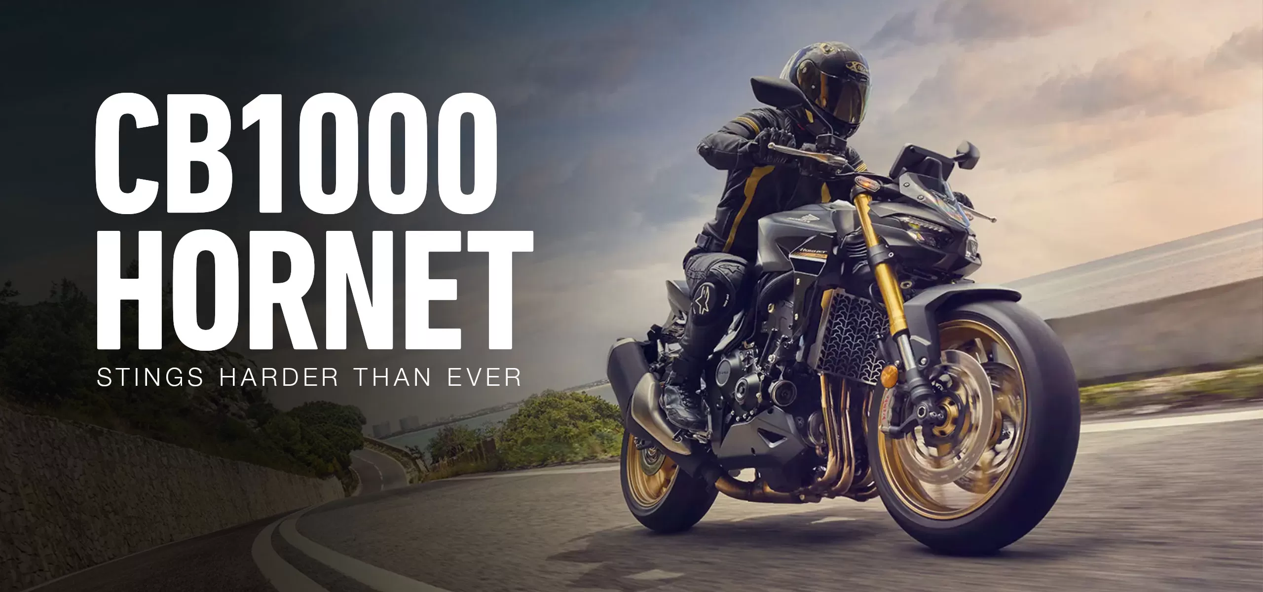 The New 2025 Honda CB1000 Hornet