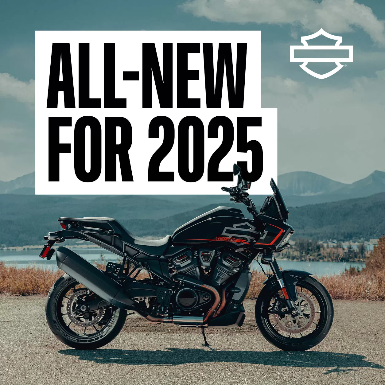 Harley - All new for 2025