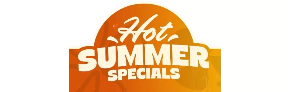 Summer Sale at Laguna Motorcycles in Maidstone, Kent