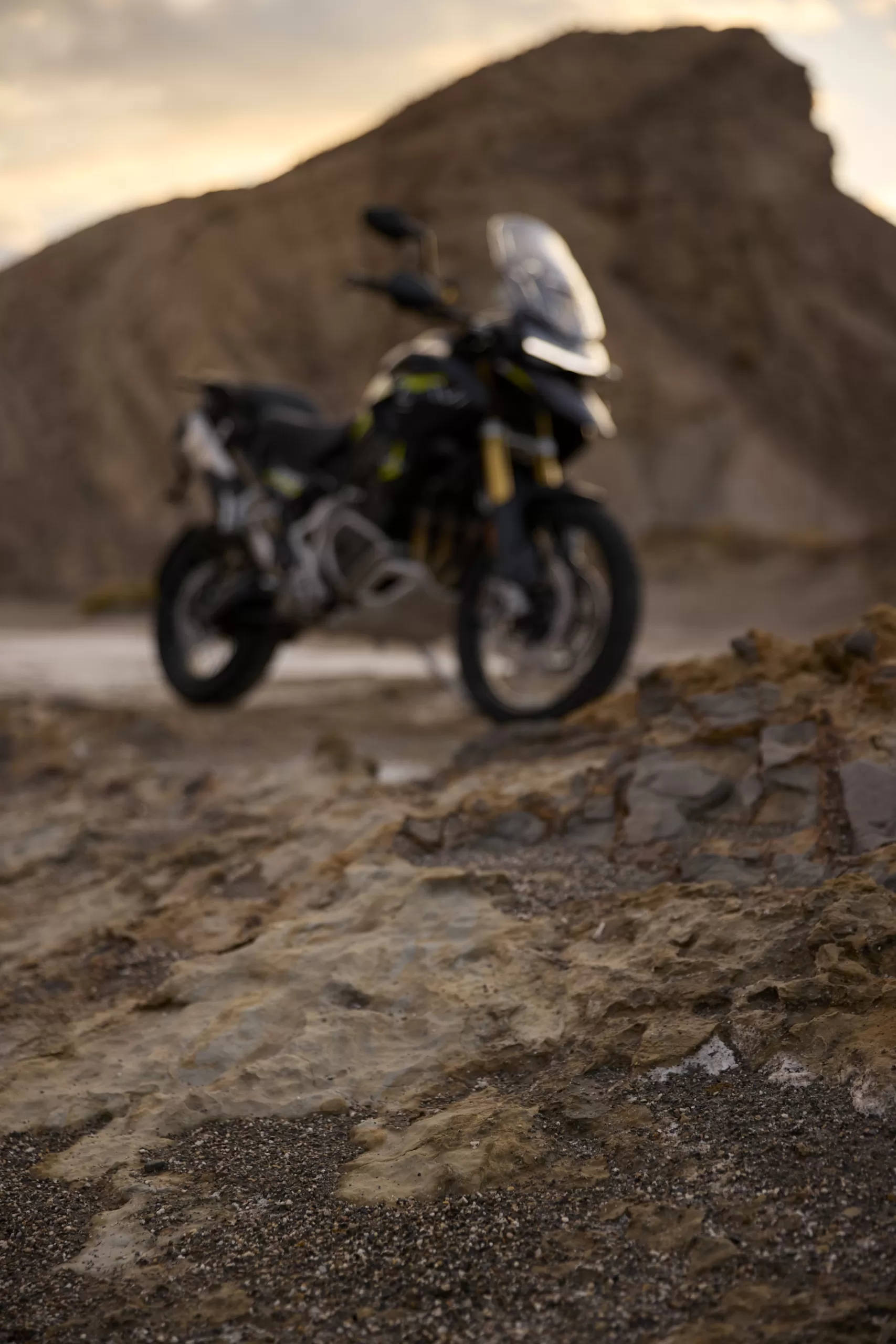 Tiger 1200