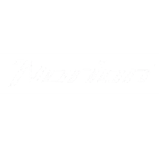 QJMOTOR logo