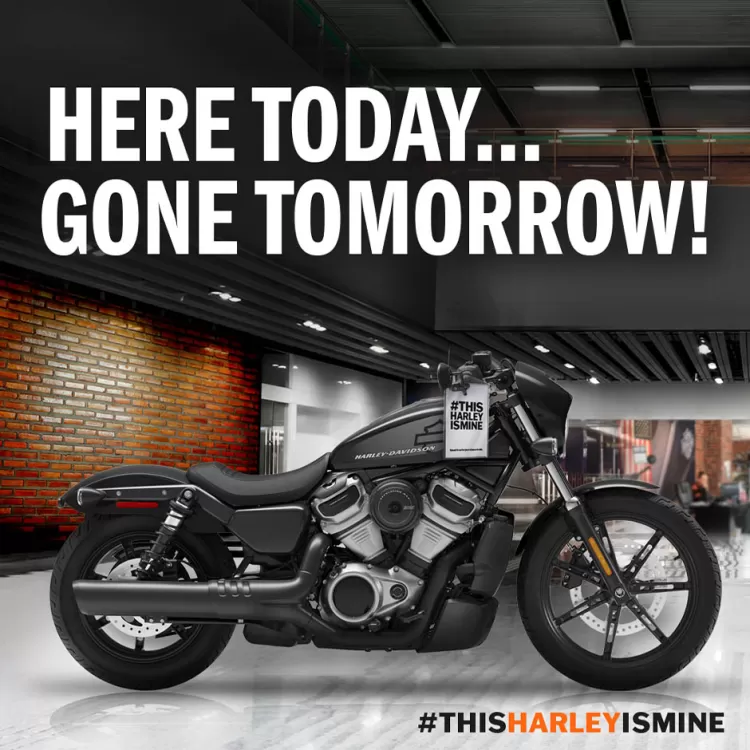 Harley davidson near on sale here