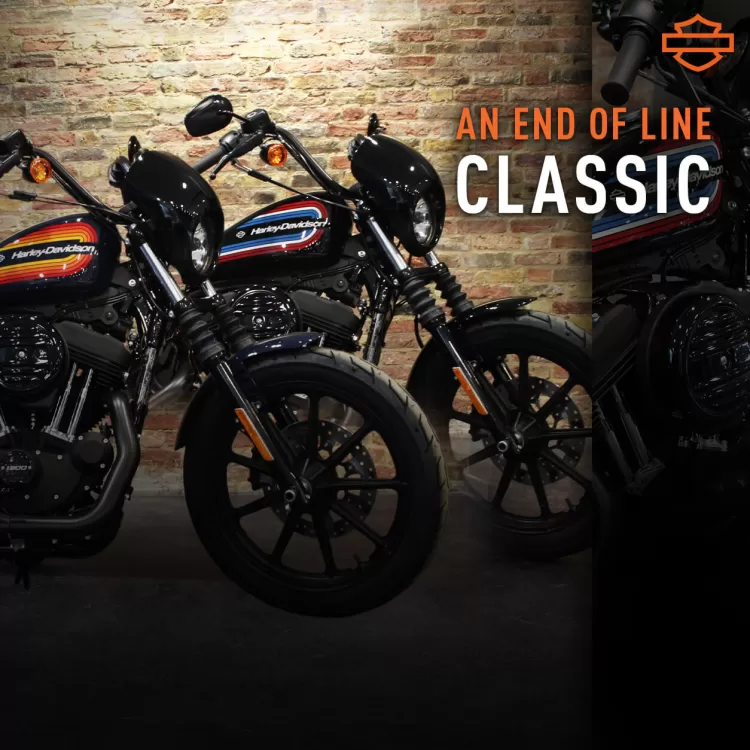 Iron 1200 shop harley davidson