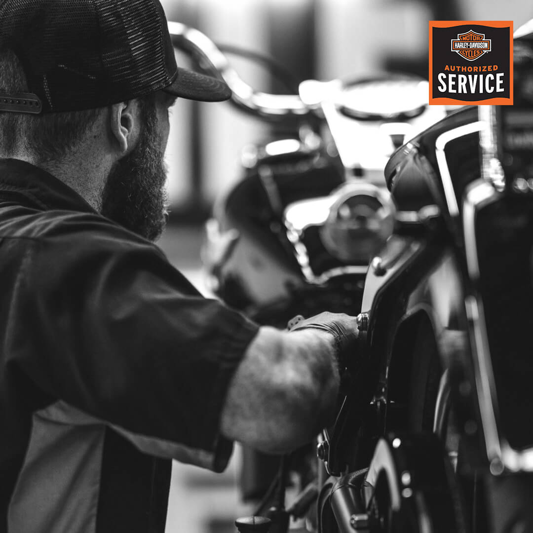 Harley Davidson service offer