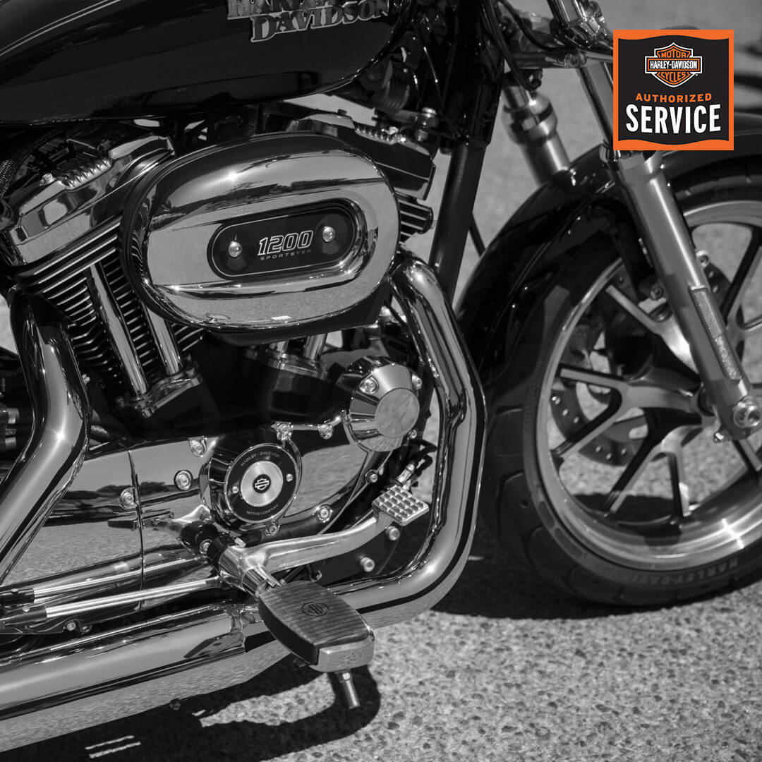Harley Davidson service offer