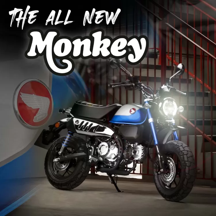 2021 honda clearance monkey colors
