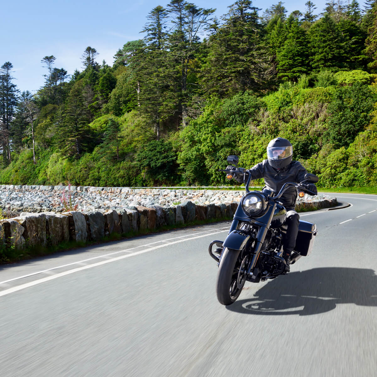 Harley-Davidson touring motorcycle 