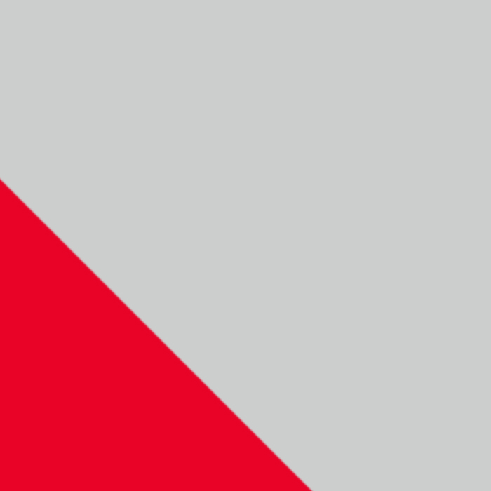 Metallic Matt Sword Grey and Candy Daring Red Suzuki Colour