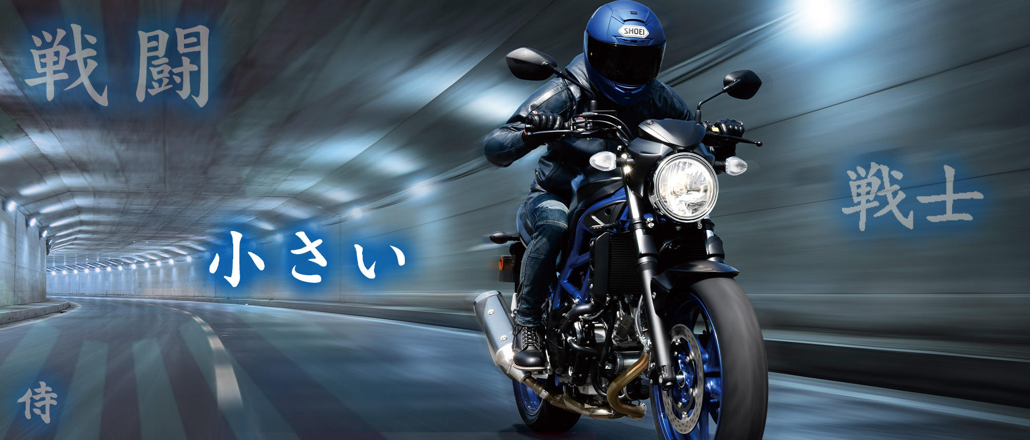 The Suzuki SV650 