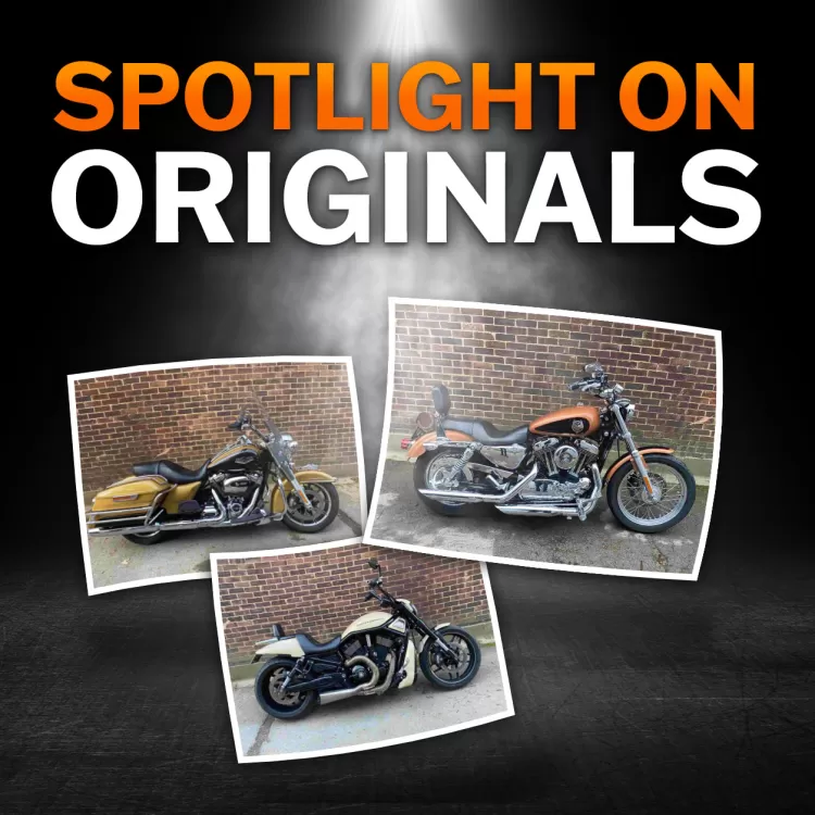 Thumbnail for Spotlight on Originals