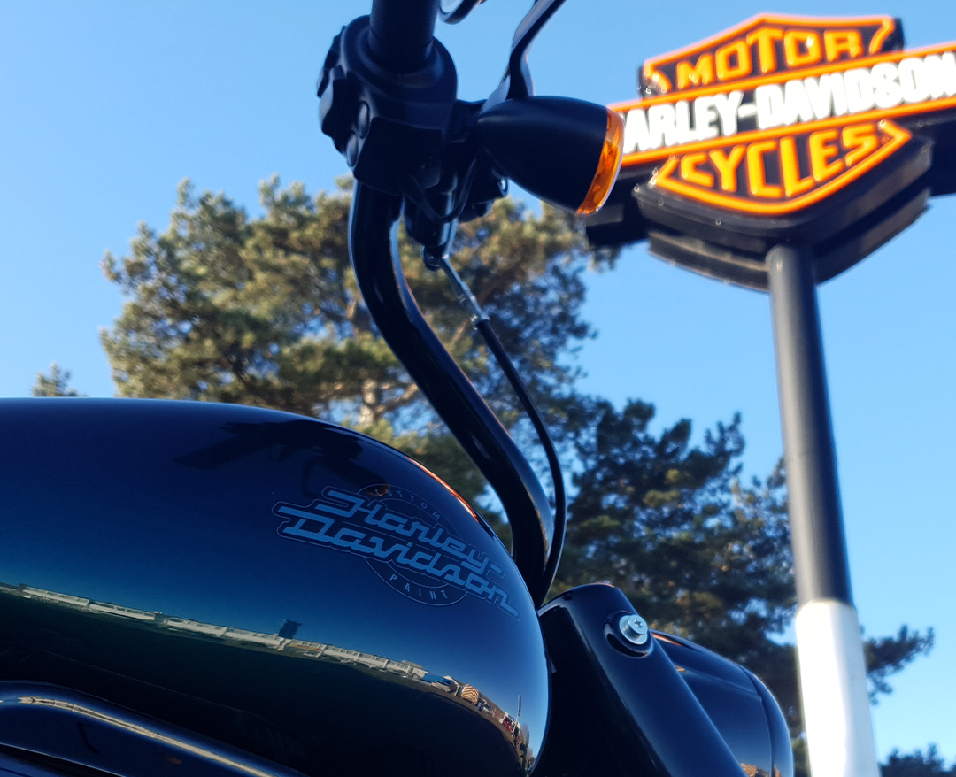 Road King in Snake Venom - Mini-Ape Handlebars