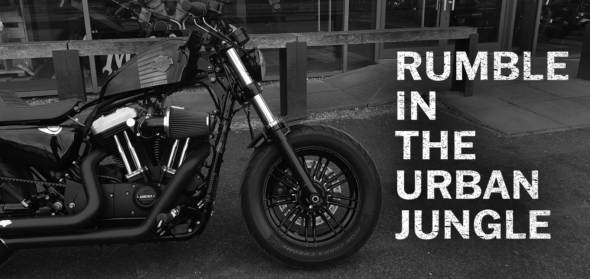 The Harley-Davidson Forty-Eight Sportster - Rumble in the Urban Jungle