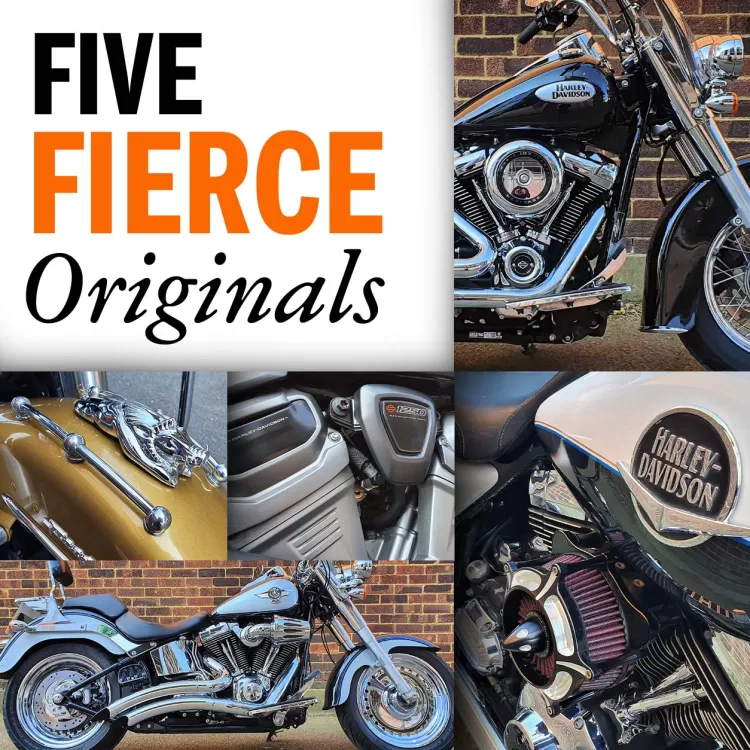 Thumbnail for Five Fierce Originals