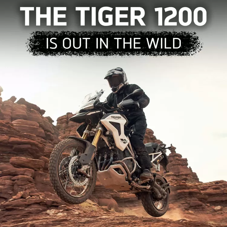 Thumbnail for The Tiger 1200 is out in the wild
