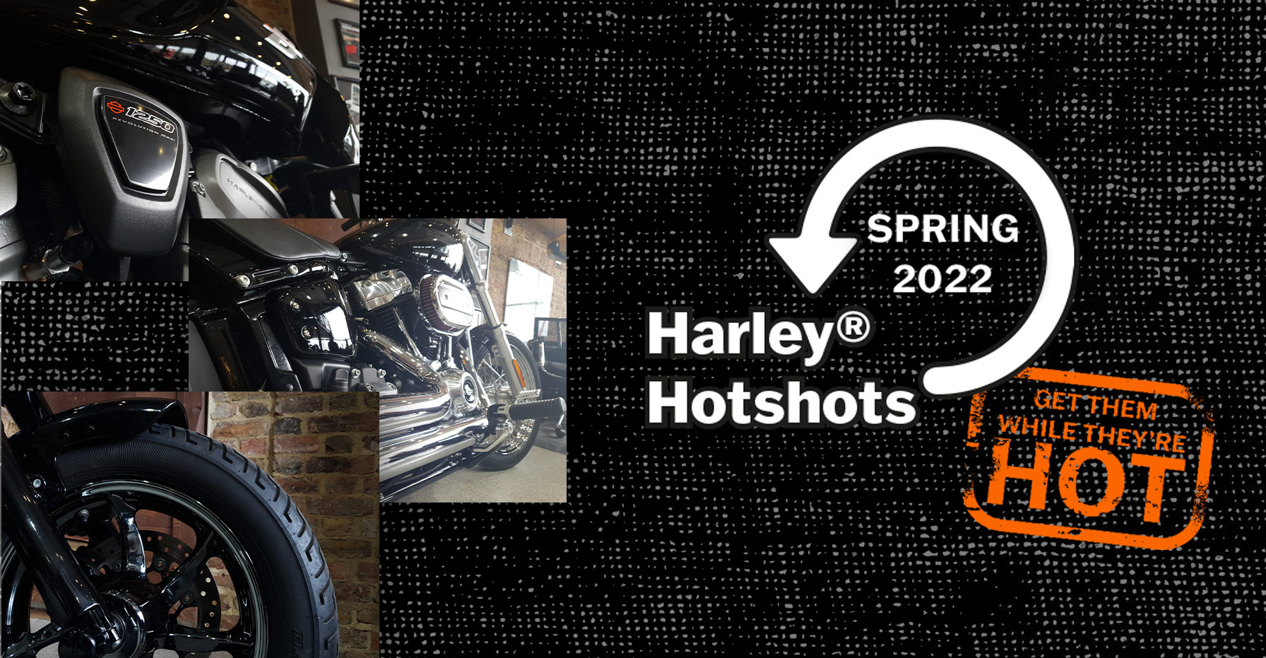 Harley-Davidson Harley Hotshots - 30 Days Deal Offer Sale
