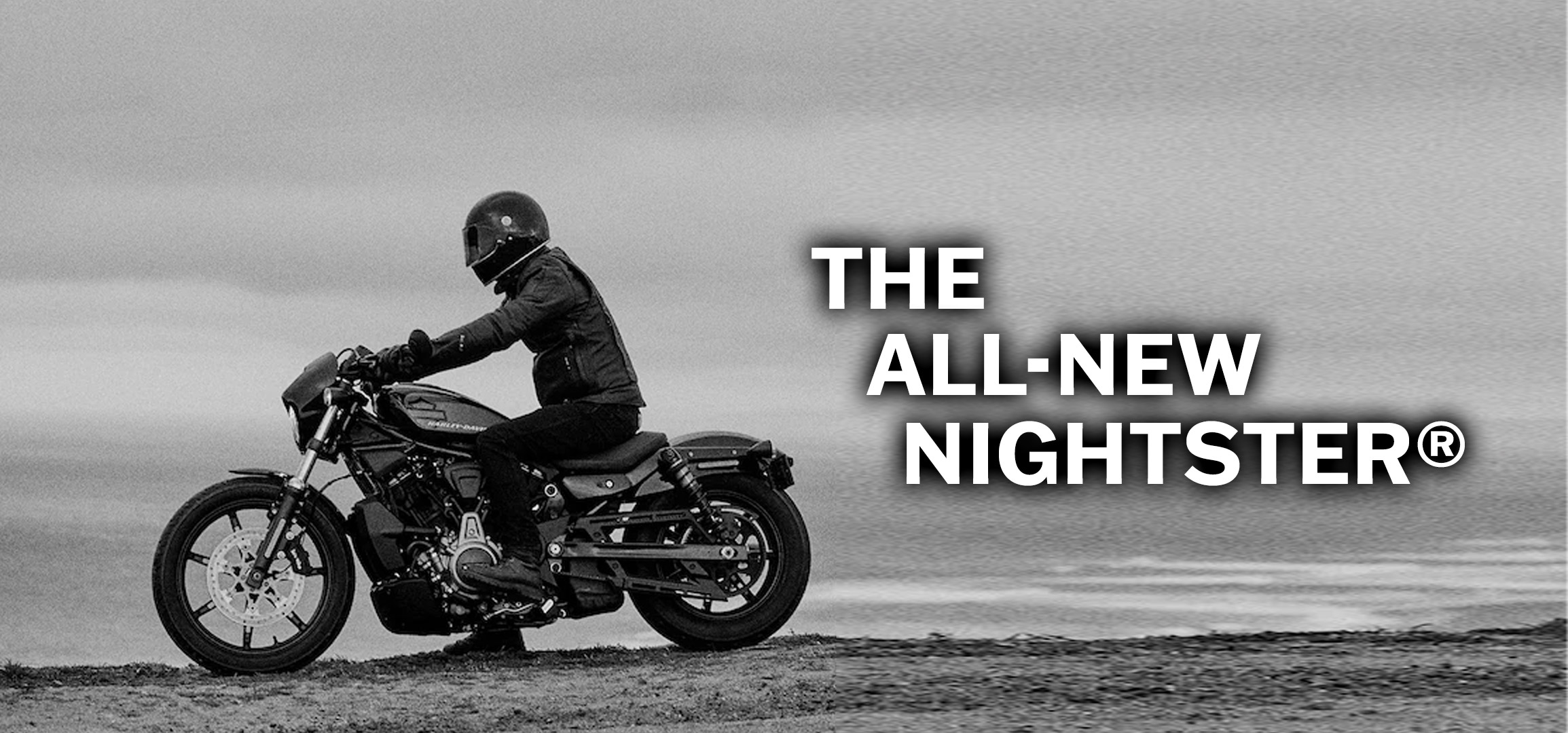 The all-new Harley-Davidson® Nightster™