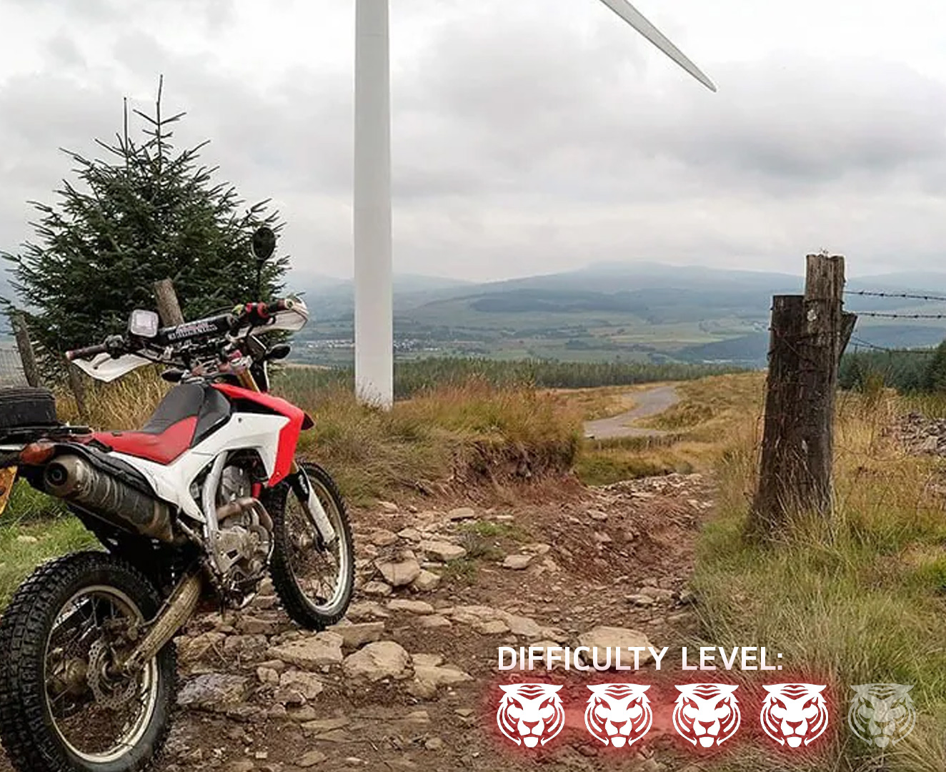 The Tiger 1200 - Rider Routes - Sarn Helen South Wales