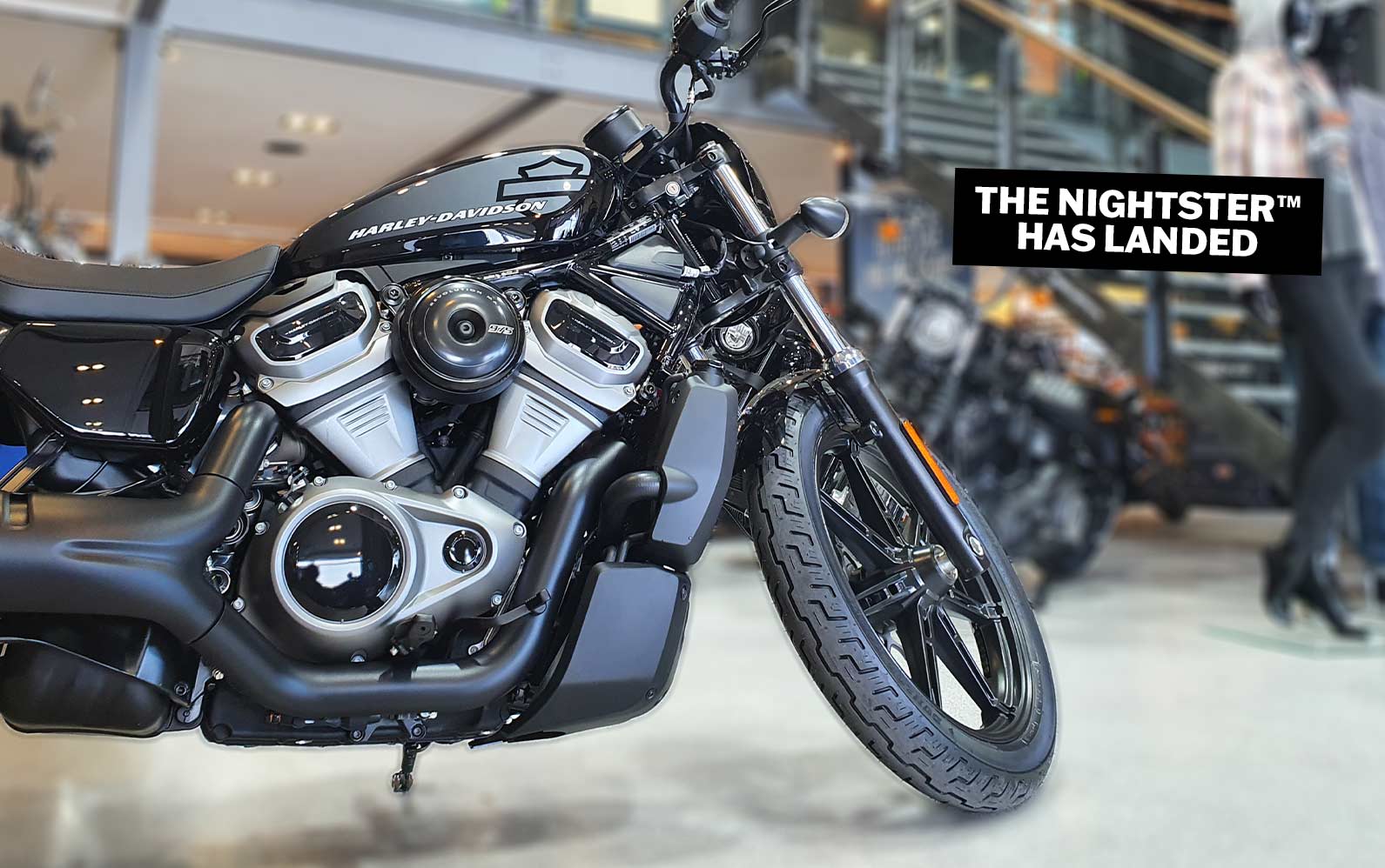 Photo of Nightster in Maidstone Harley-Davidson showroom