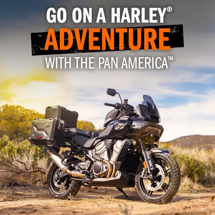 Harley adventure sale