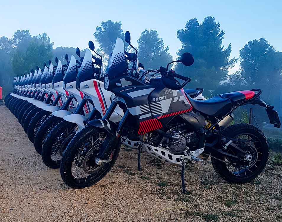Row of new Ducati DesertX models
