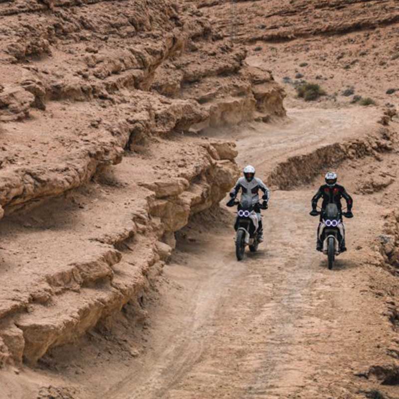 Two Ducati Desert X on Sands