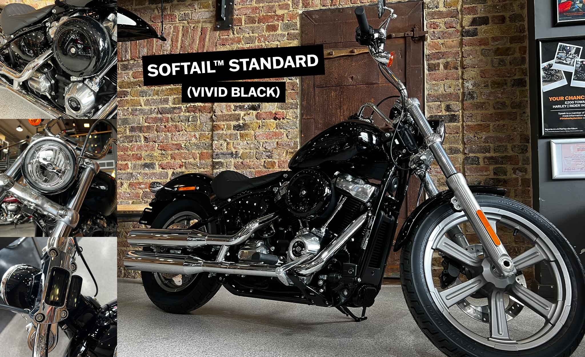 Kickass Cruisers Summer 2022 - Street Bob in Softail Standard