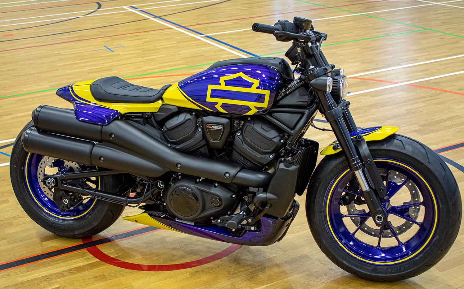 LA Lakers Inspired Custom Sportster S