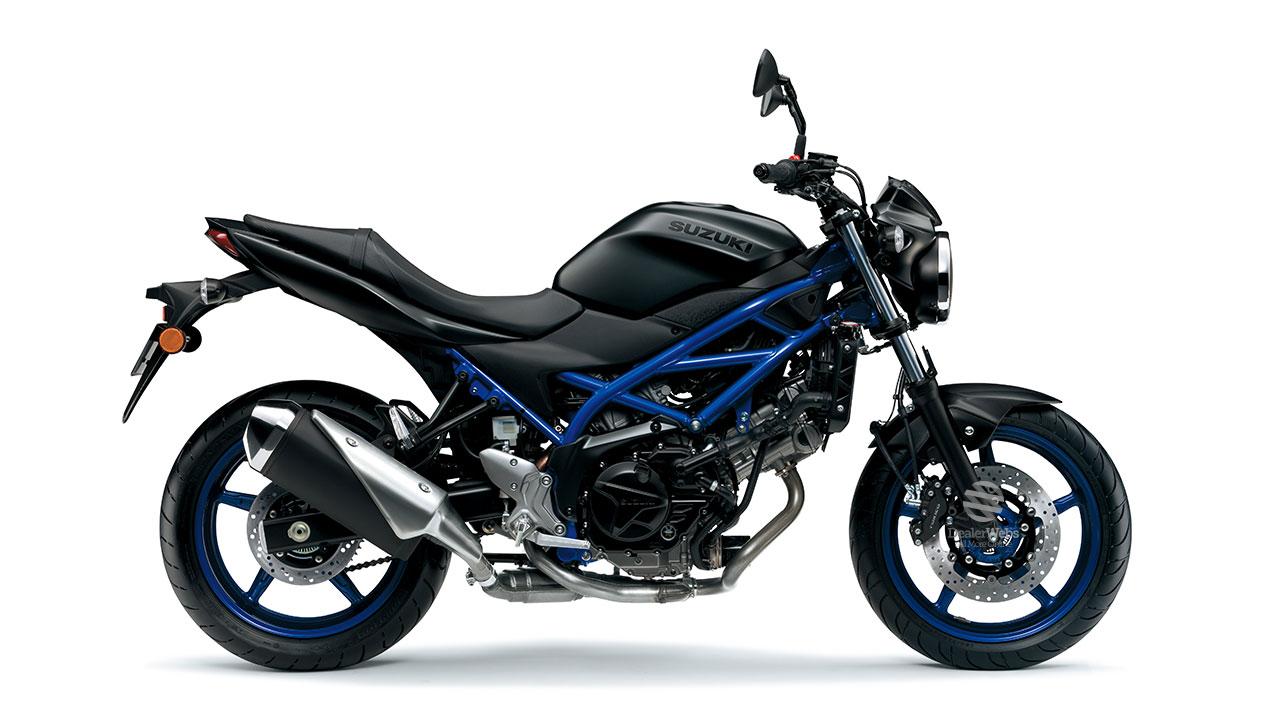 Suzuki SV650 demo bike coming soon to Laguna Motorcycles